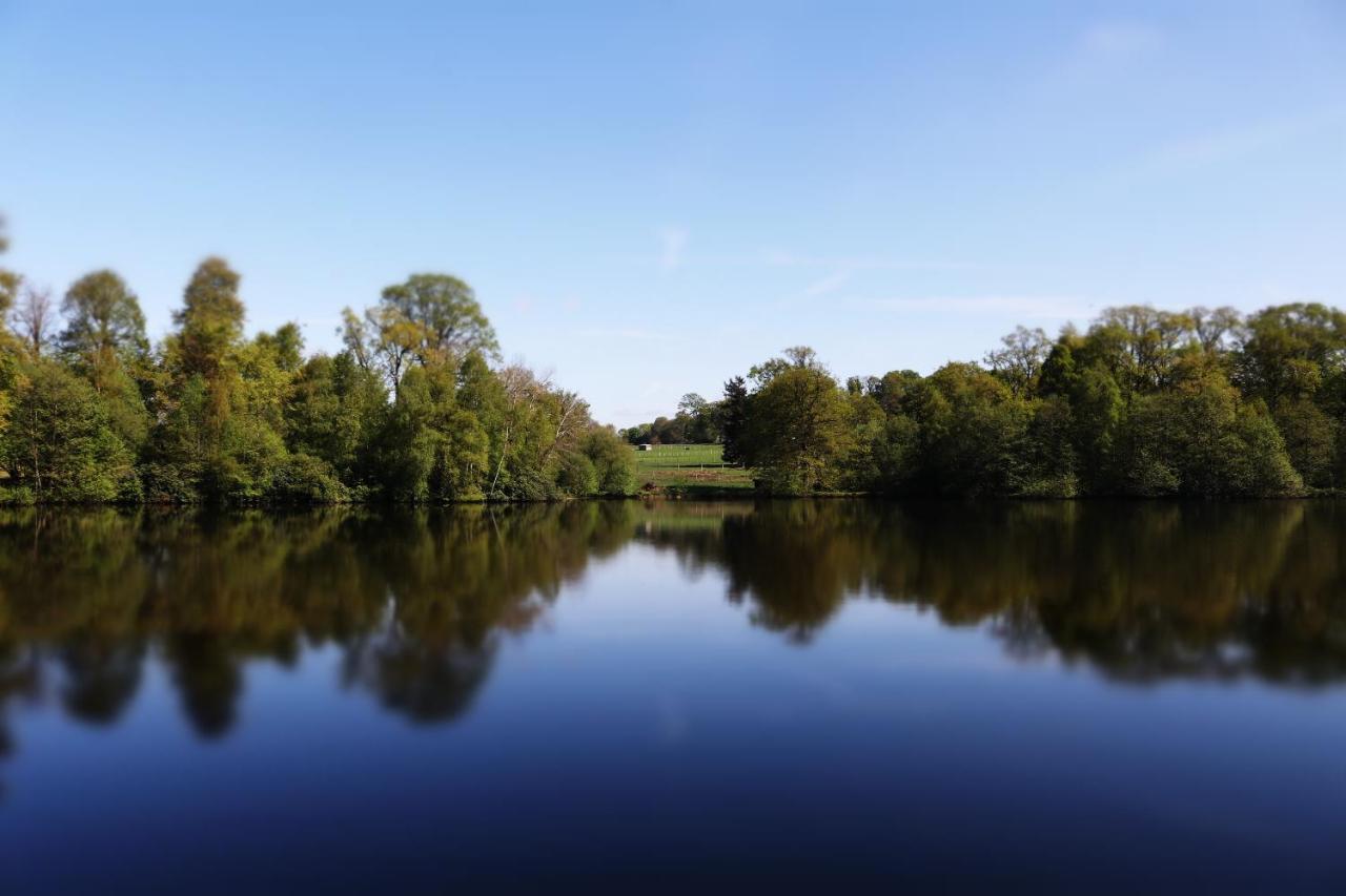 La Tiny Du Parc : Saint Symphorien Des Monts Villa Ernée Dış mekan fotoğraf
